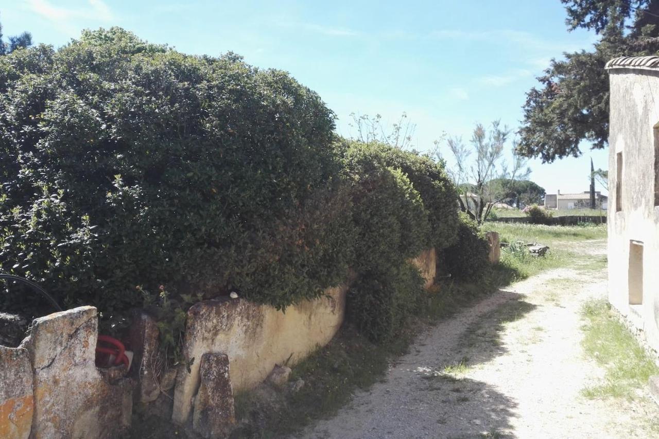 Mas De "La Garcine" Villa Mazan Eksteriør bilde