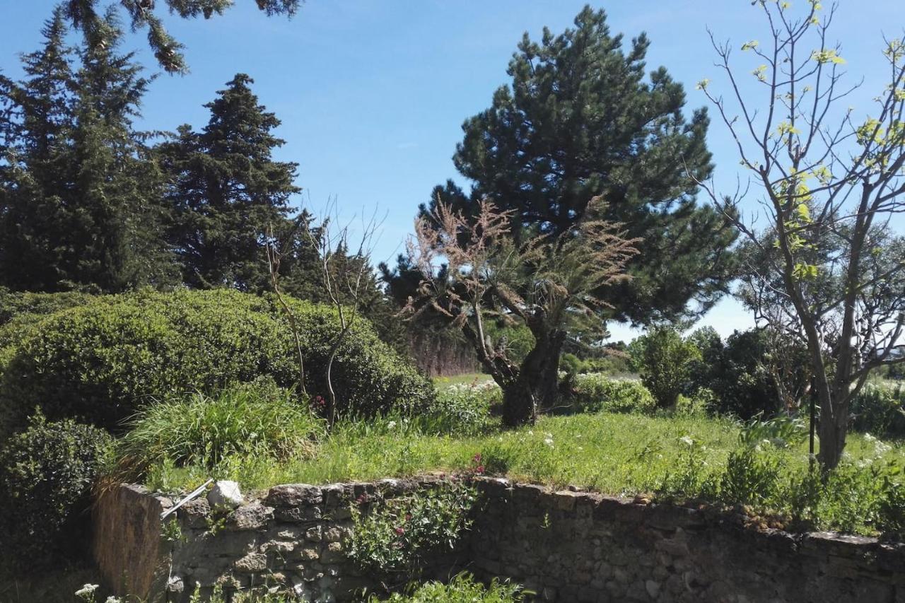 Mas De "La Garcine" Villa Mazan Eksteriør bilde