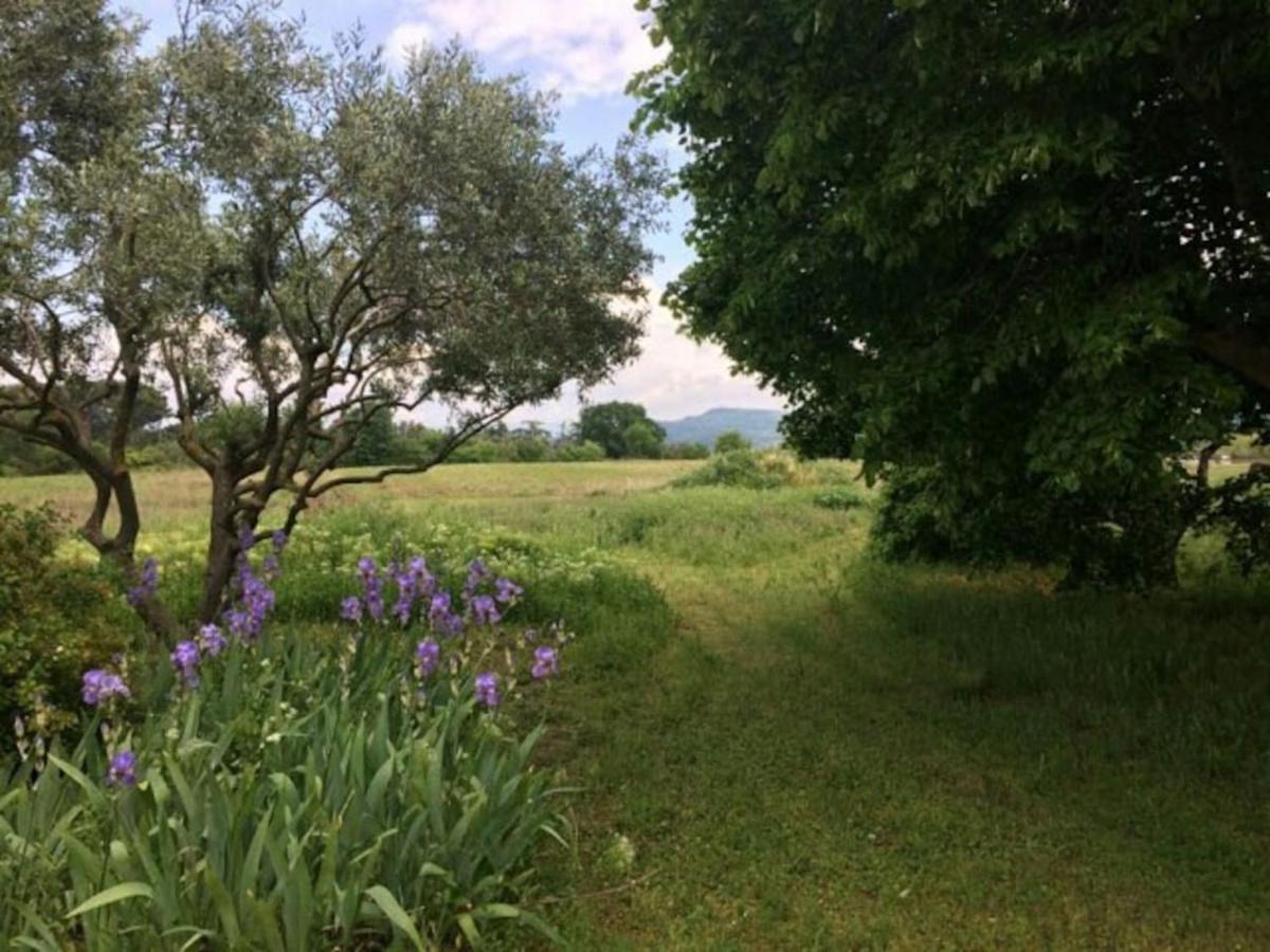 Mas De "La Garcine" Villa Mazan Eksteriør bilde