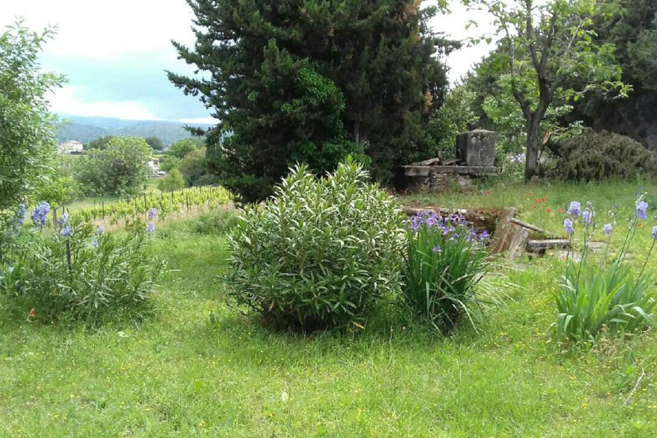 Mas De "La Garcine" Villa Mazan Eksteriør bilde