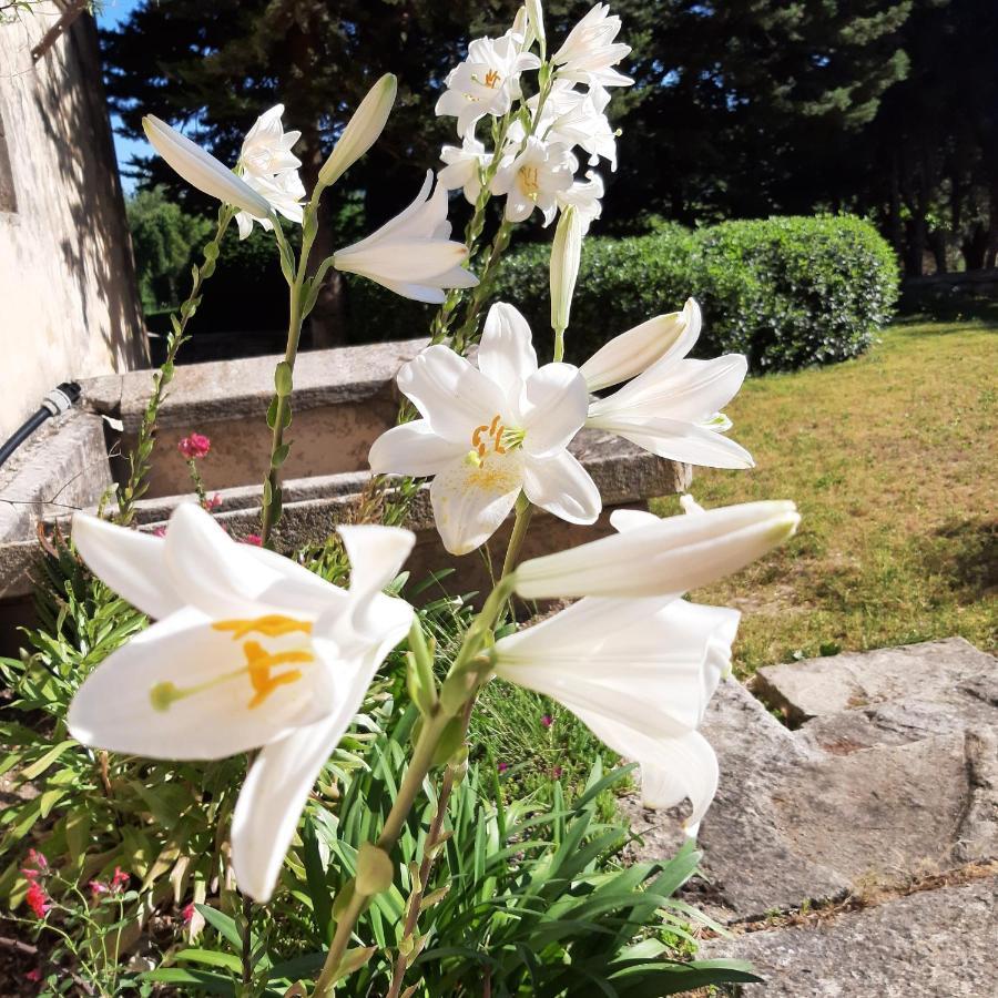 Mas De "La Garcine" Villa Mazan Eksteriør bilde