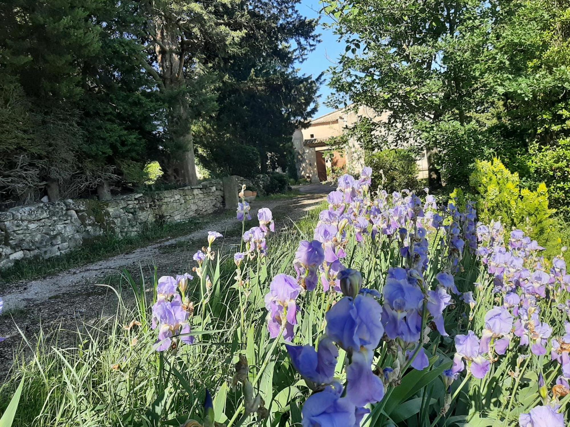 Mas De "La Garcine" Villa Mazan Eksteriør bilde